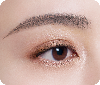 特長のイメージ画像2